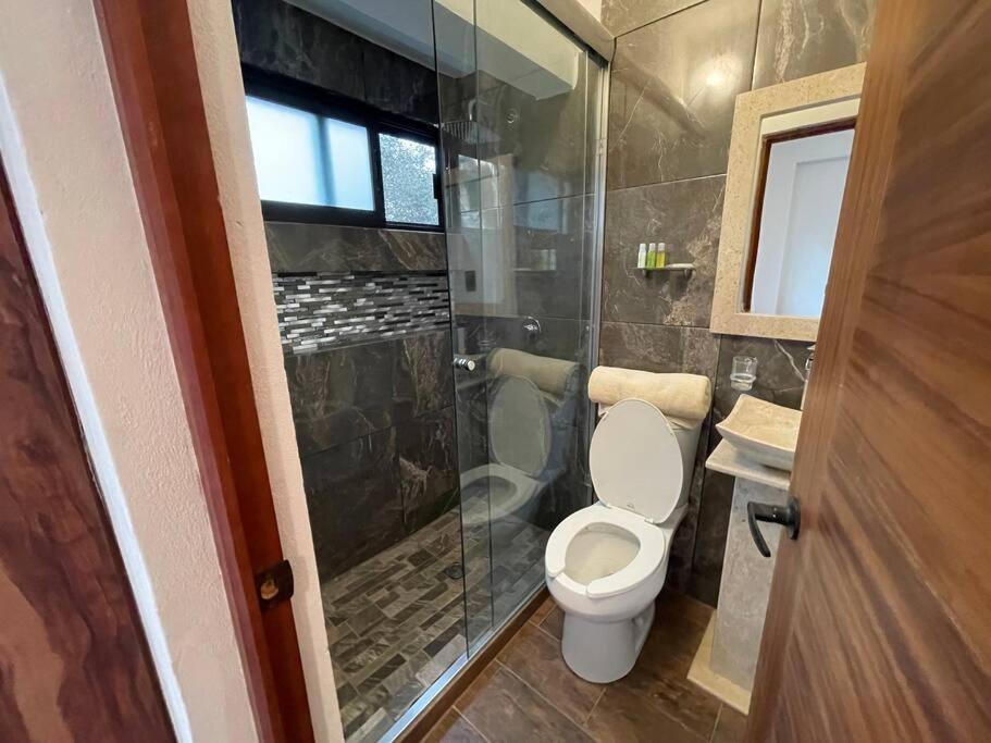 Suites C O V A D O N G A Mexico City Bilik gambar