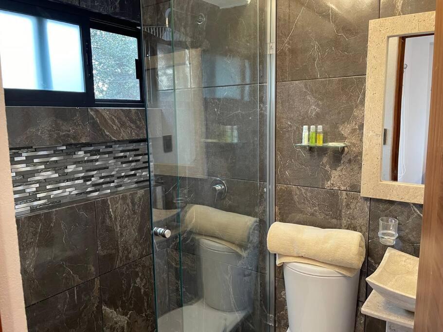 Suites C O V A D O N G A Mexico City Bilik gambar